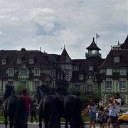 Horses outside La Barriere Normandie