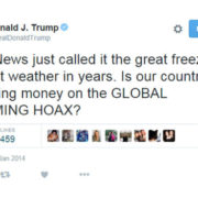 trump twee