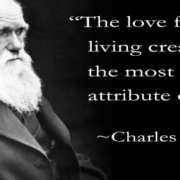 darwin quote
