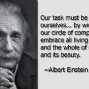 einstein quote