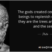 plato quote