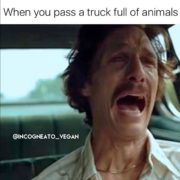 vegan joke two