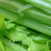 celery-383753_1280