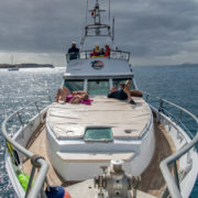 boat-trip