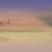dawn-3358468_1280